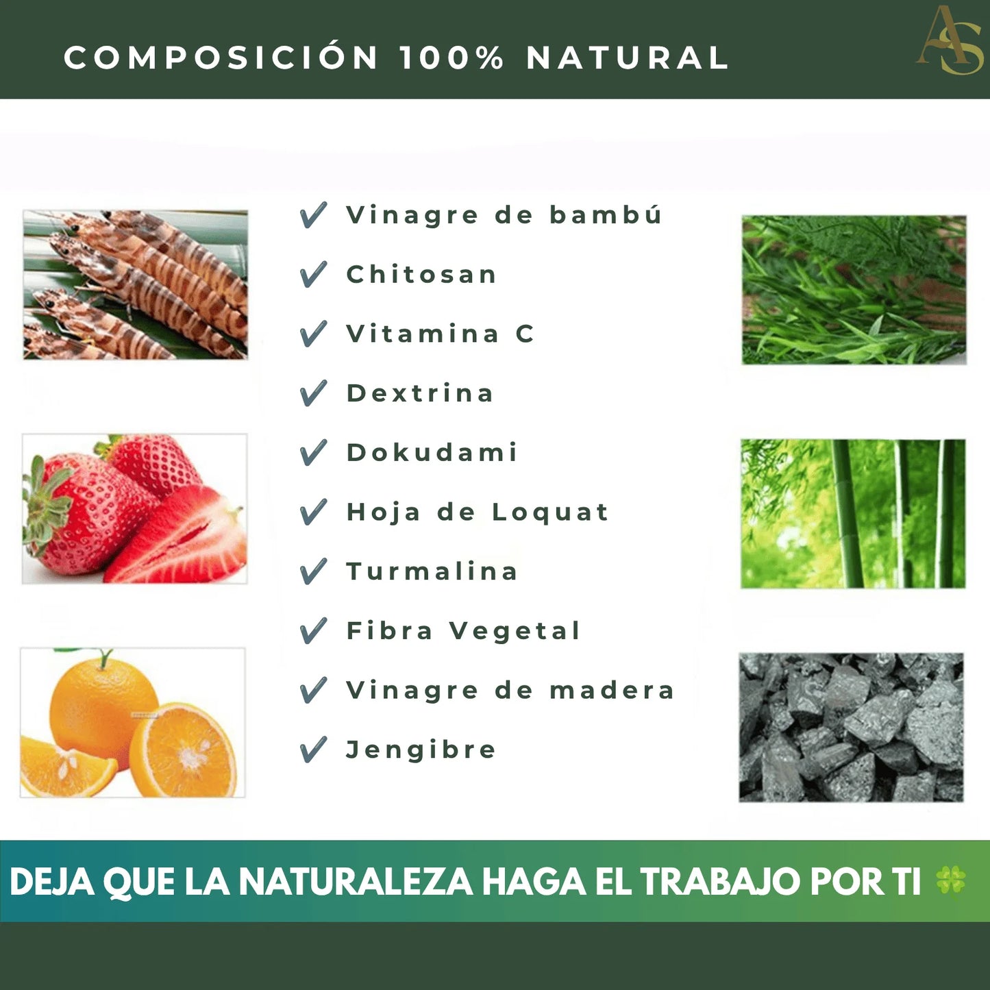 Parches Kinoki  🩹 - Tratamiento Desintoxicación 30 días ¡Envío Gratis! 📦